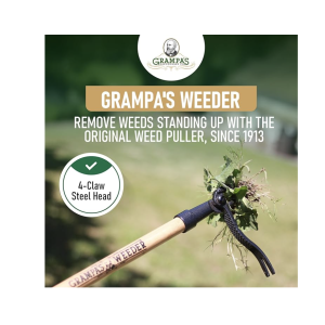 Grampa's Weeder - The Original Stand Up Weed Puller Tool with Long Handle - Made with Real Bamboo & 4-Claw Steel Head Design - Easily Remove Weeds Without Bending, Pulling, or Kneeling