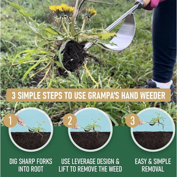 Grampa's Hand Weeder Tool - The Perfect Lightweight Easy to Use Weed Puller Tool for Garden - Durable Unique Lever Design with V-Shaped Forks Allows for Easy Removal of Weeds & Their Roots. - Image 2