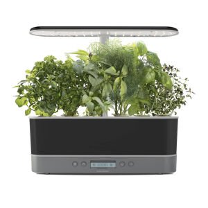 AeroGarden Harvest Elite Slim Indoor Garden Hydroponic System with LED Grow Light and Herb Kit, Holds up to 6 Pods, Platinum